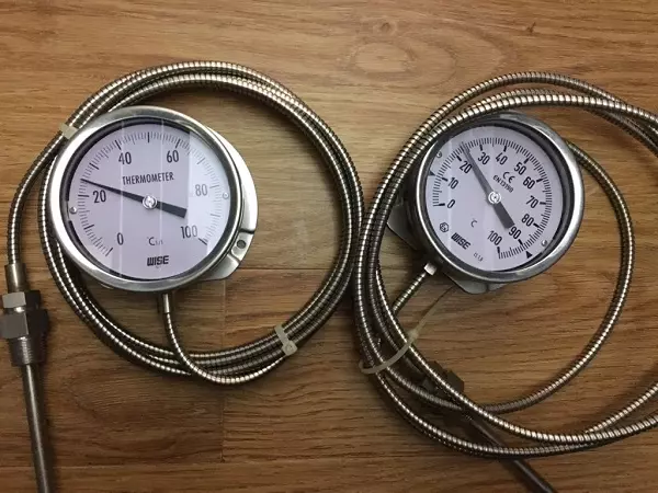Đồng hồ đo nhiệt độ dạng dây Wise 0 - 100 độ C