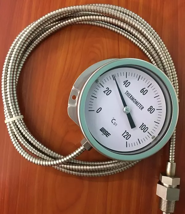 Đồng hồ đo nhiệt độ dạng dây Wise 0 - 120 độ C