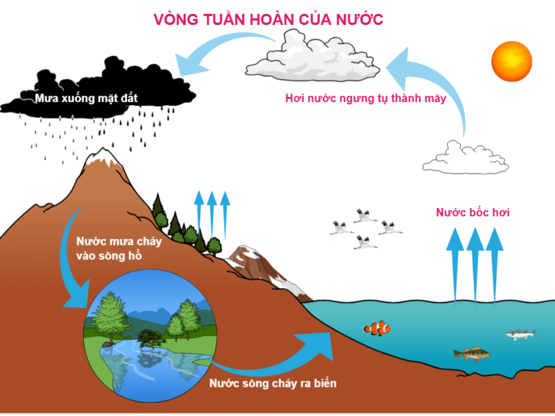 Nhiệt độ ngưng tụ của hơi nước