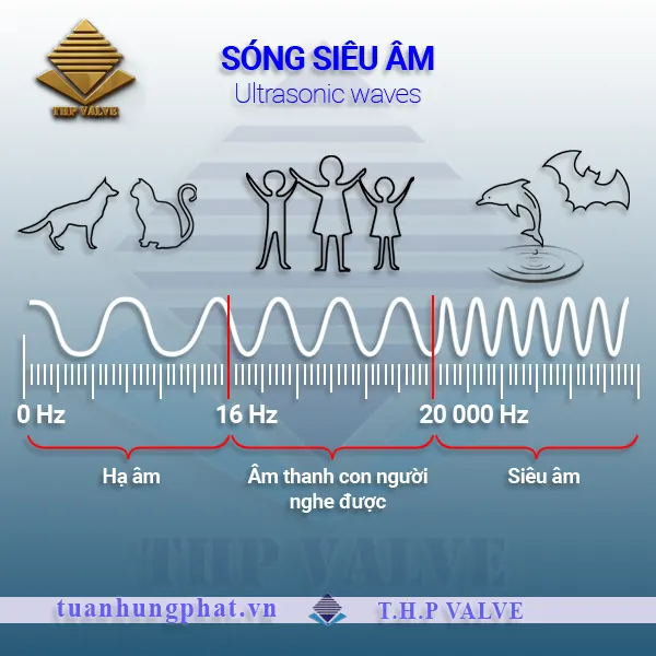 Sóng siêu âm (ultrasonic waves)
