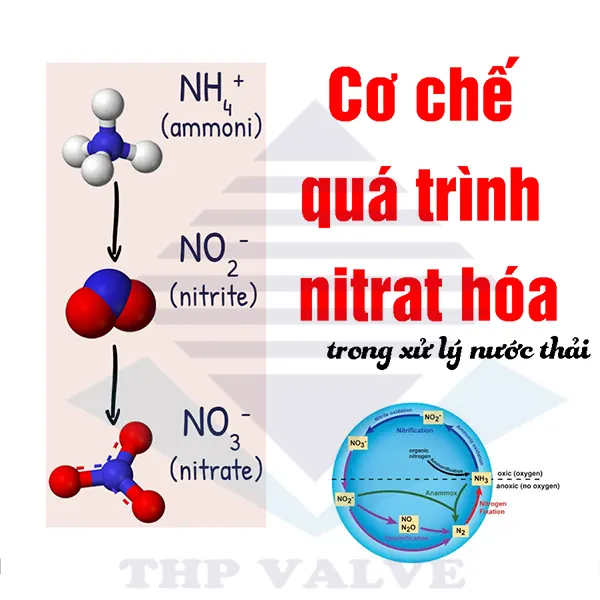 Quá trình Nitrat hóa trong xử lý nước thải