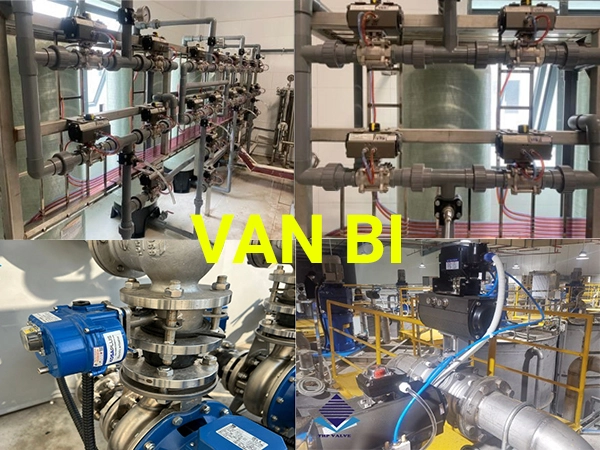Van bi