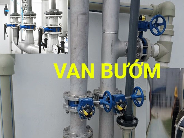 Van bướm