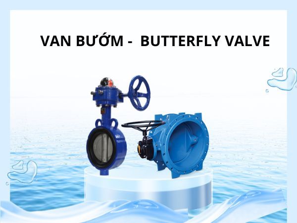 Van bướm