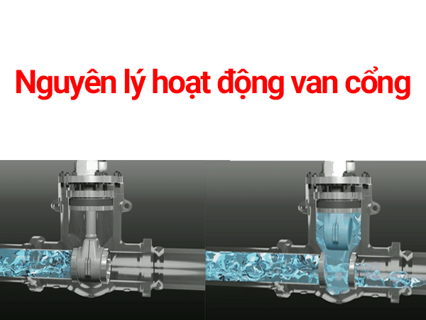 Nguyên lý hoạt động van cổng chi tiết