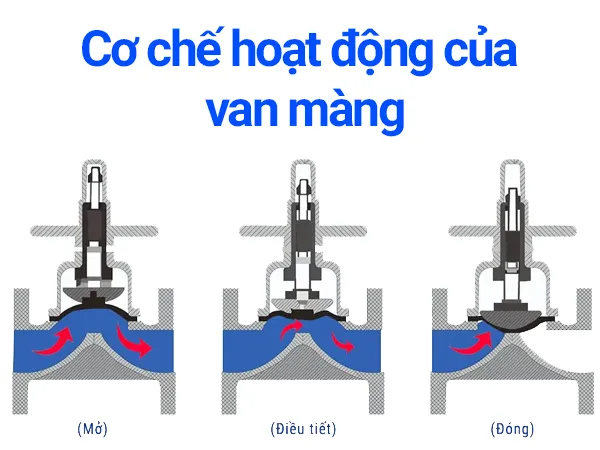 Van màng là gì?