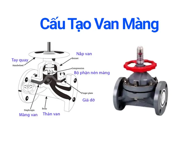 Van màng là gì?