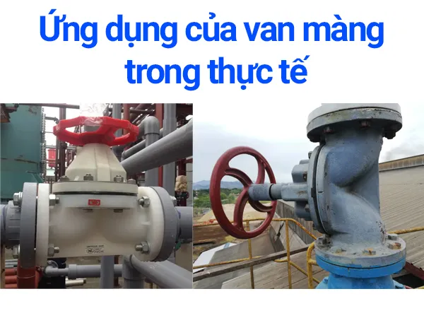 Van màng là gì?