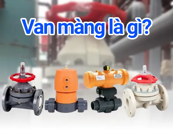 Van màng là gì?
