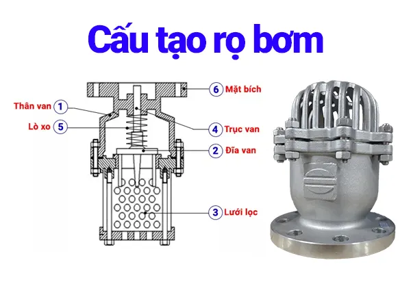 Rọ bơm là gì