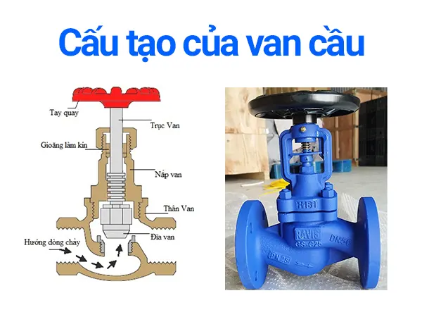 Cấu tạo van cầu
