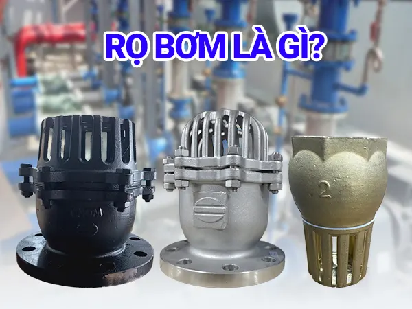 Rọ bơm là gì