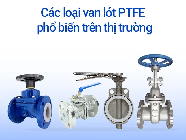 Van lót PTFE là gì