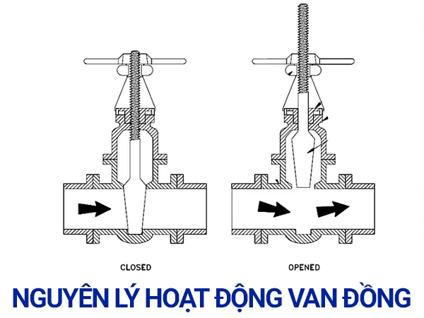 Van đồng là gì?