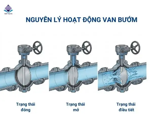 Nguyên lý hoạt động van bướm cơ bản