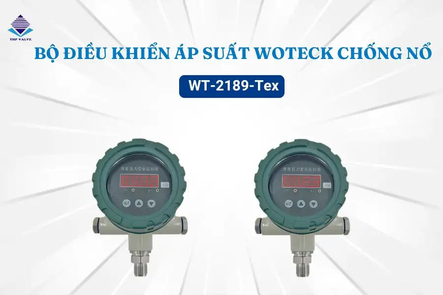 Bộ điều khiển áp suất Woteck WT-2189-Tex