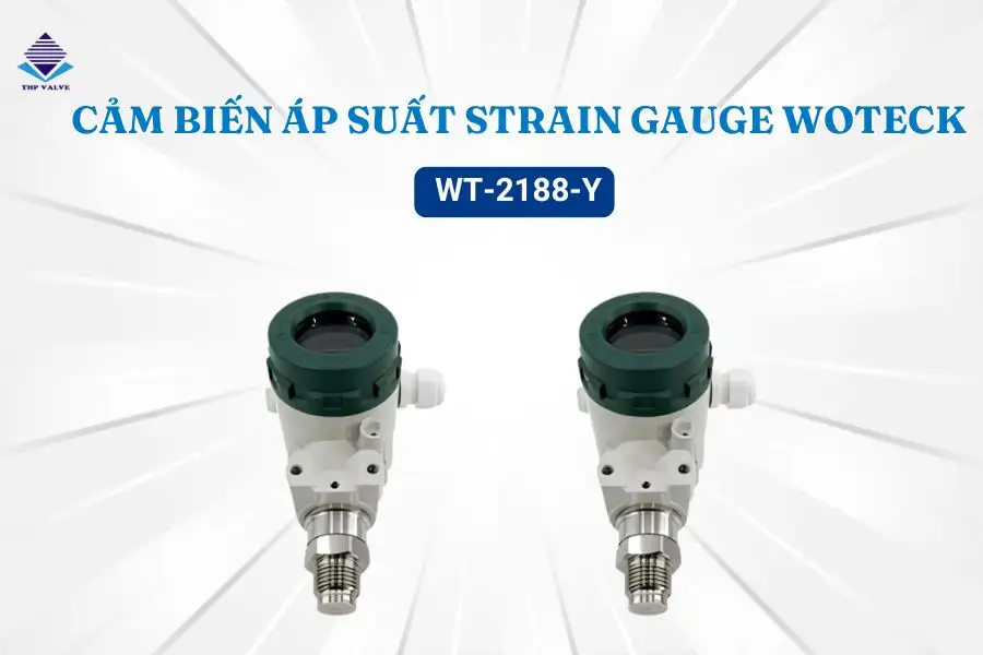 Cảm biến áp suất Strain Gauge WT-2188-Y
