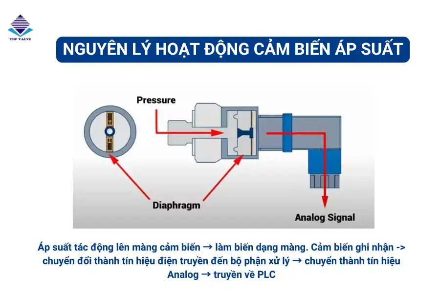 Nguyên lý hoạt động của cảm biến áp suất