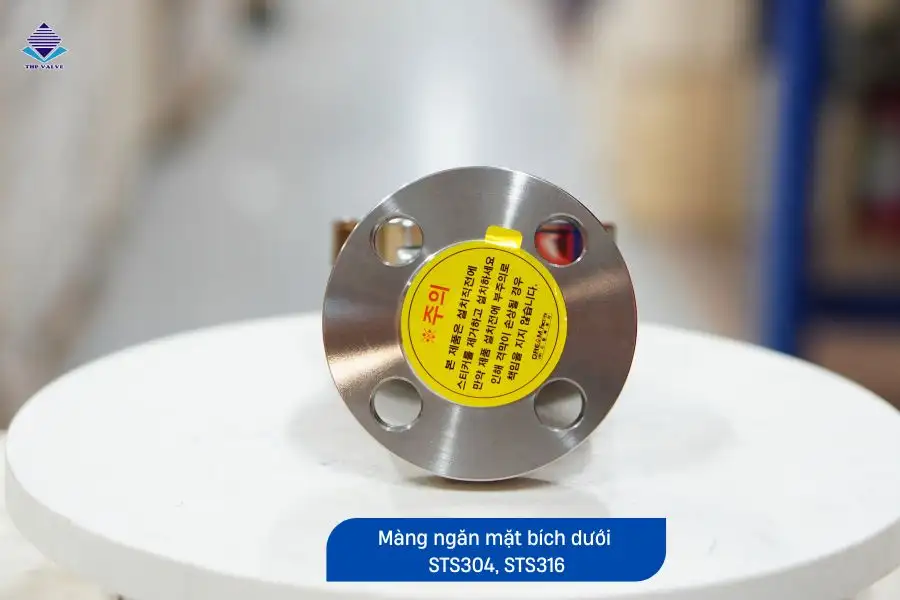 Màng ngăn mặt bích dưới STS304, STS316