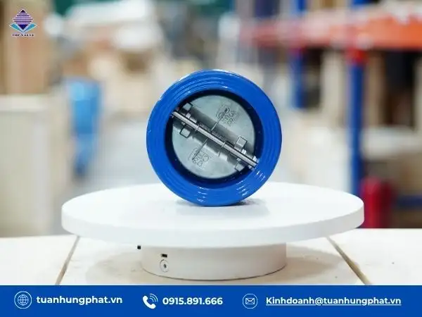 Van 1 chiều cánh bướm